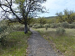 Lower Table Rock Trail