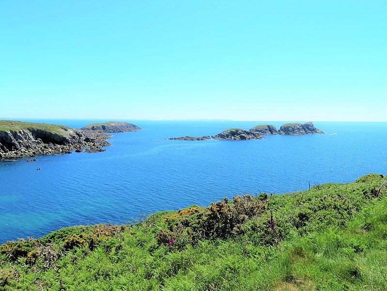 File:Porthclais to Porthlysgi Bay, SW of Tyddewi (St David's), Sir Benfro, Cymru, Wales 27.jpg