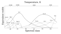 Intensity of some spectral lines as a function of spectral class