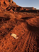 Toilet Paper on the Landscape (Utah monolith).jpg