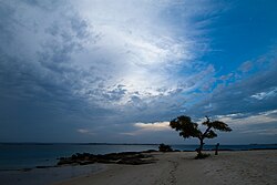 The beach at Nacala