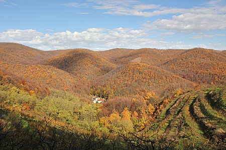 Vraćevšnica monastery by BrankaVV