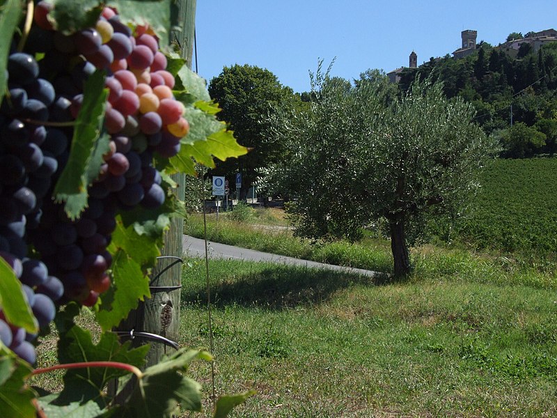 File:Bertinoro - veduta 01.jpg