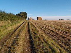 Towards Tottenhoe Lodge - geograph.org.uk - 3180582.jpg