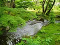 宝厳院。獅子吼の庭の一景。