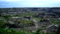 Badlands nahe Drumheller