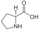 L-προλίνη