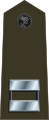 U.S. Marine Corps[1] (dress, garrison)