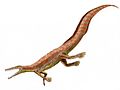 Mesosaurus