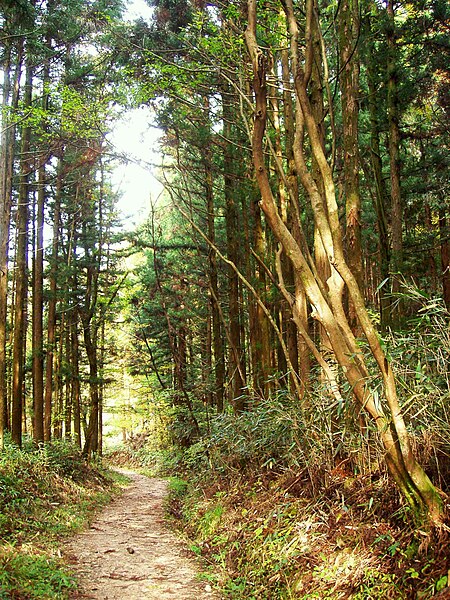 File:Nakasendo between Magome and Tsumago - P1010118.jpg