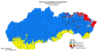 Hartă lingvistică a Slovaciei (2011).