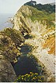 Stair Hole from the East. This hole on the Jurassic Coast behind the cliff shows contorted strata.