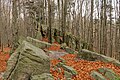 * Nomination Rock formations on the top of Bukowa Góra in the Świętokrzyskie Mountains --Jakubhal 16:20, 4 November 2024 (UTC) * Promotion  Support Good quality. --Scotch Mist 16:33, 4 November 2024 (UTC)