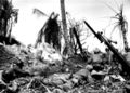 Men of the 7th Division using flame throwers to smoke out Japanese from a block house on Kwajalein Island, while others wait with rifles ready in case Japanese come out. February 4, 1944.