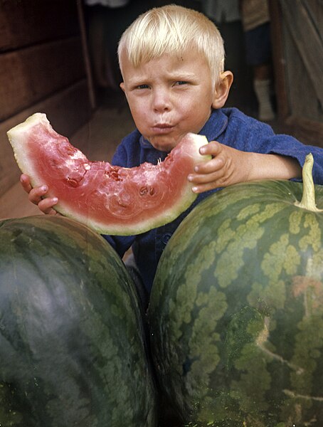 File:RIAN archive 569736 Boy eating a watermelon.jpg