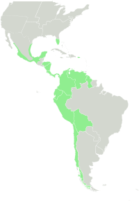 Distribución actual do cultivo de chirimoio.