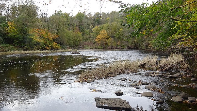 File:River Ayr, Broad Wood and Gadgirth Holm, Annbank.jpg