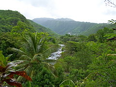 La Grande-Rivière des Vieux-Habitants, Vieux-Habitants.