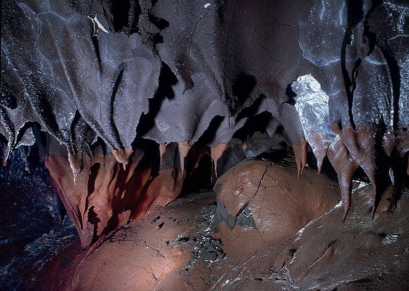 File:Shark tooth stalactites.jpg