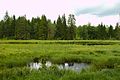 Het Väiku-Osõtsuu järv, een meer in de omgeving