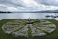 * Nomination Flower clock at Zurich Lake in Zurich, Switzerland --Shootzurich 10:10, 25 August 2017 (UTC) * Decline Grainy and unsharp, not a QI for me, sorry. Why ISO3200+f/16+1/2000s at midday? --Basotxerri 20:31, 25 August 2017 (UTC)