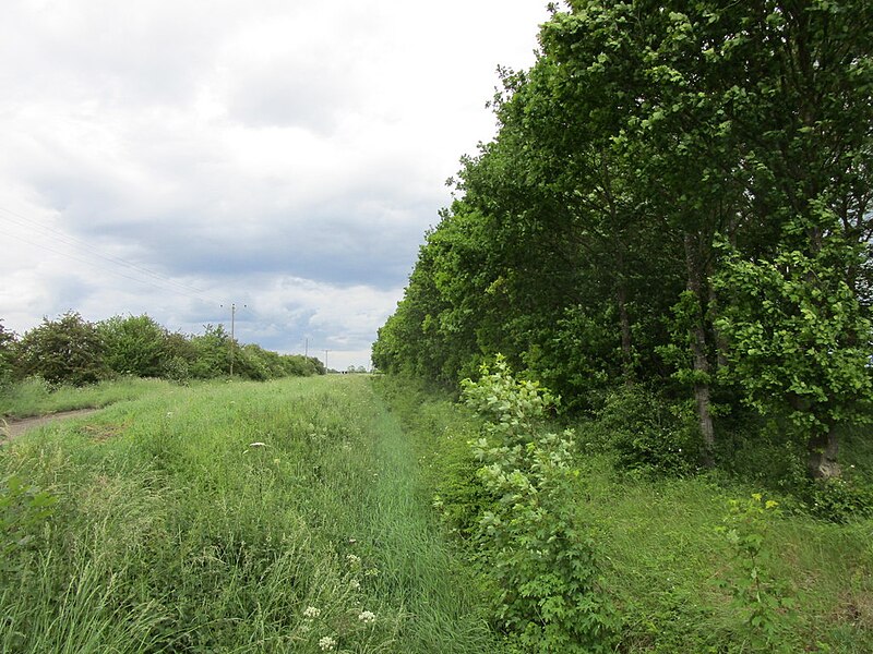 File:Drain alongside Horbling Fen Drove - geograph.org.uk - 6183347.jpg