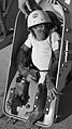 Ham the Chimp, first higher primate in space