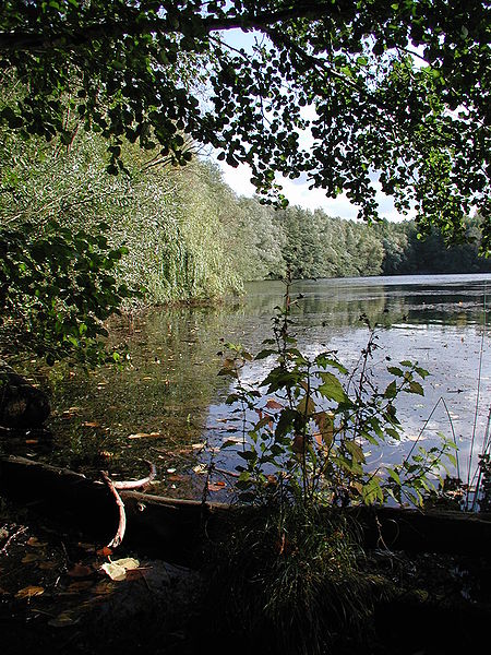 File:Heider-Bergsee-062.JPG