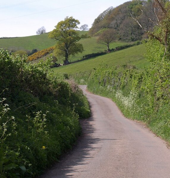 File:Lane, Dawlish Water valley - geograph.org.uk - 1272740.jpg