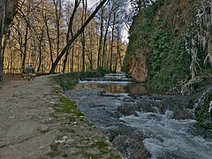 Pie de la Cola de Caballo, Monasterio de Piedra (Nuévalos).jpg