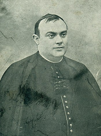 Ricardo Gómez Rojí.jpg