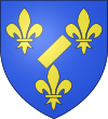 Blason de Diane de France