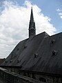 Dach der Altstadtkirche St. Maria in vinea (Maria im Weinberg) mit Dachreiter (Türmchen)