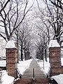 Path on the left hand side of McKeldin Mall in winter