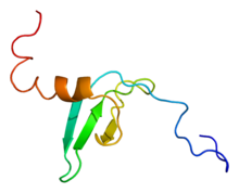 Protein CBX1 PDB 1ap0.png