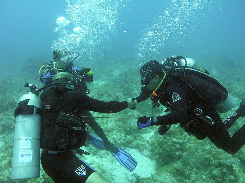 File:NEEMO 12 training handshake.jpg