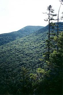 Old Speck Mt Maine from Eyebrow Trail.jpg