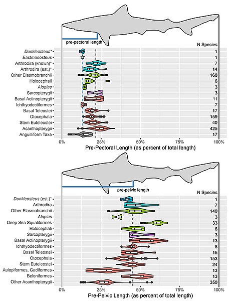 File:Relative pre-pectoral and pre-pelvic length as a proportion of total length.jpg