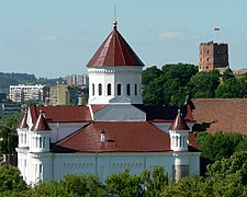 Katedrála Nanebevzetí Panny Marie (Vilnius)