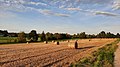 Vallée du Petit Gland entre Any et Martin-Rieux