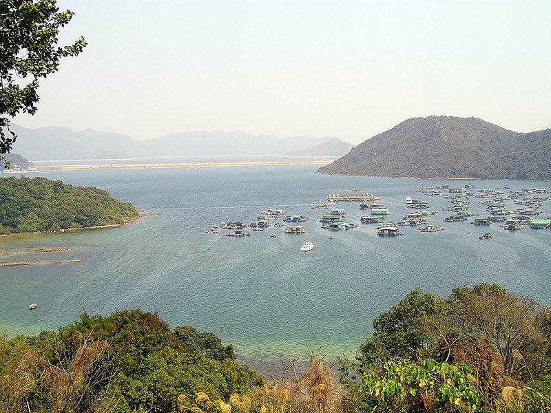 File:HK PloverCove.JPG