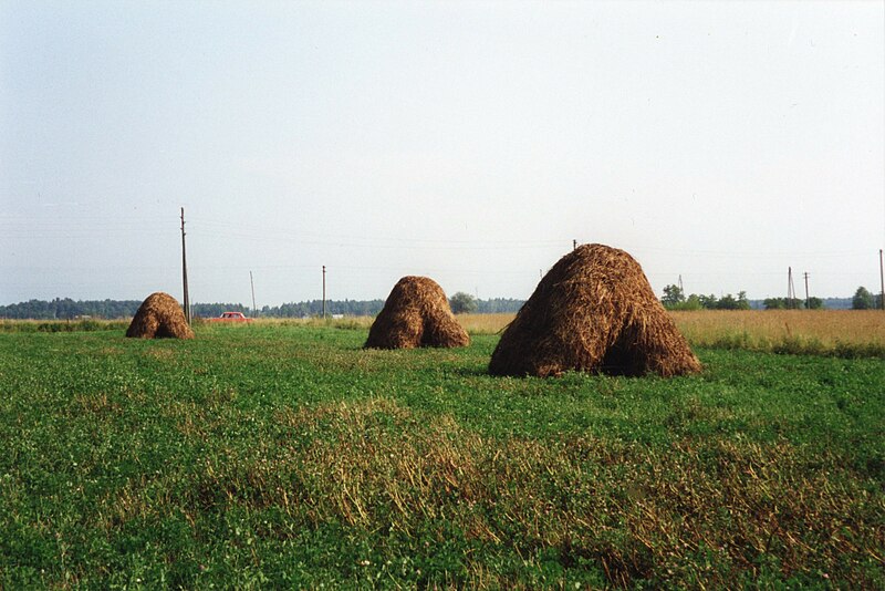 File:Hayclamps in Latvia 1994.jpg