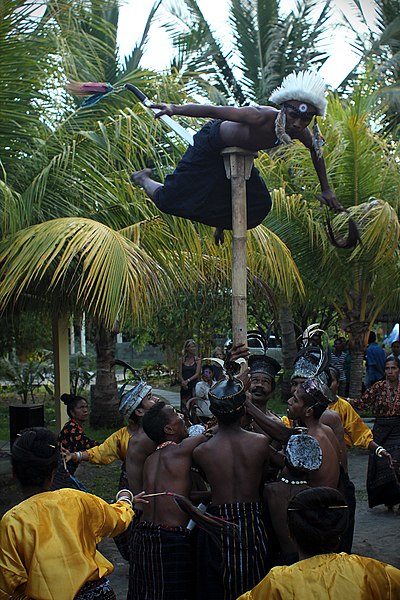 File:Hegong Dance - action.jpg