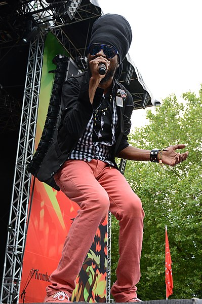 File:Ruhr Reggae Summer Mülheim 2014 Perfect 10.jpg