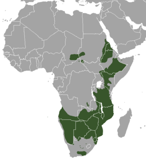Description de l'image Range map of the Greater Kudu.png.