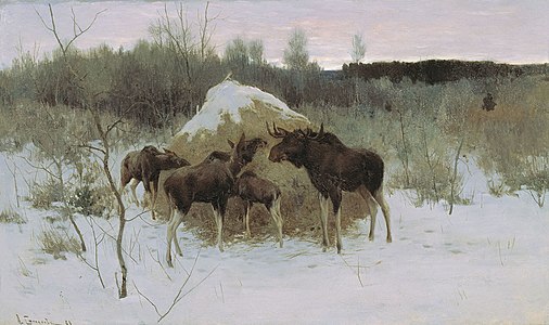 Moose Herd