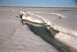 Débâcle dans l'Arctique.