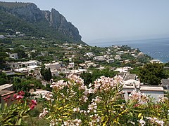 Capri , Naples , Campania , Italy - panoramio (14).jpg