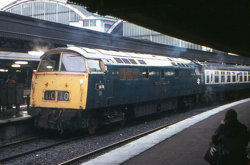 File:D1010 Western Campaigner at Paddington station.jpg