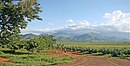 Mt. Uluguru in Morogoro